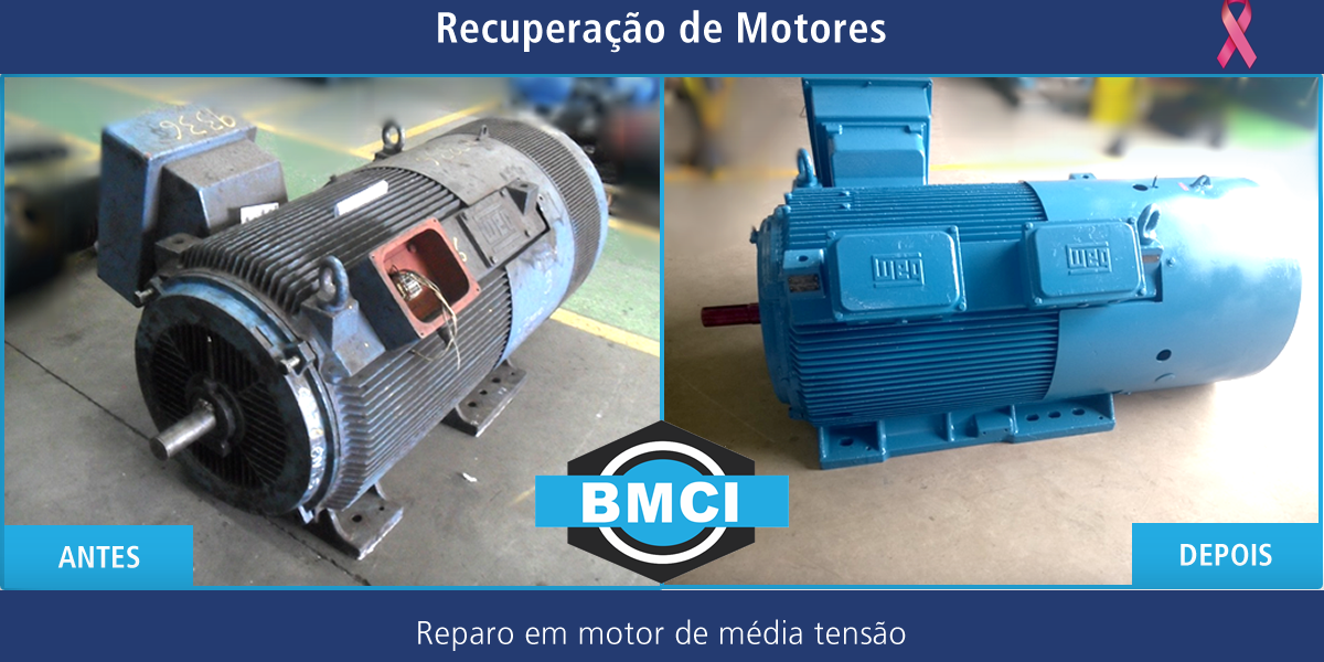 24 de outubro quinta link