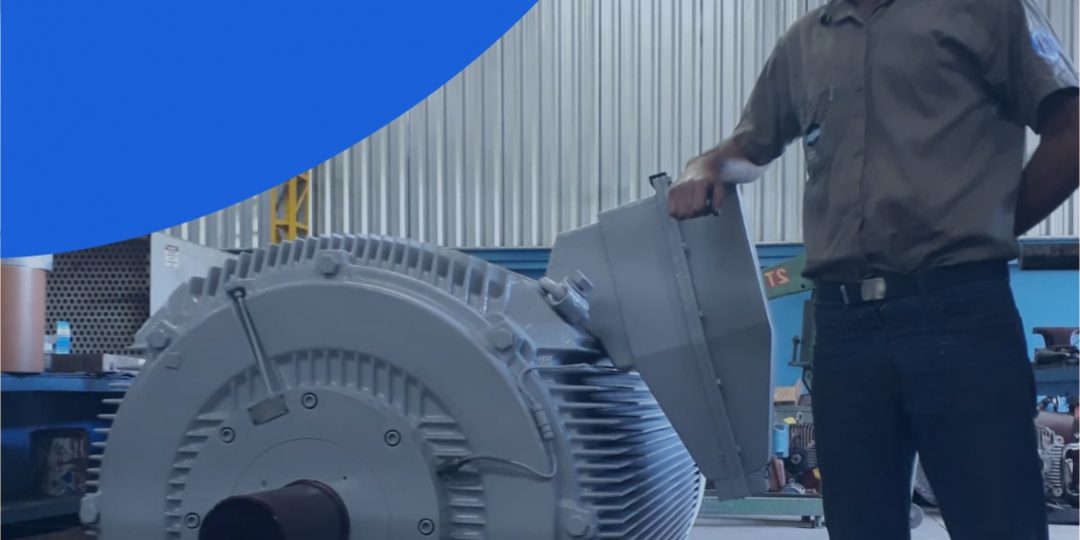 BMCI – Equipe Especializada