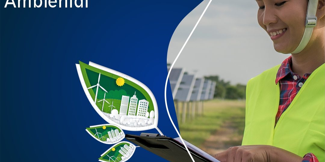 Engenharia Ambiental